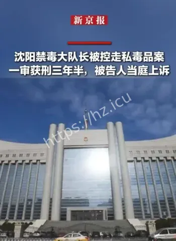 禁毒大队长走私案