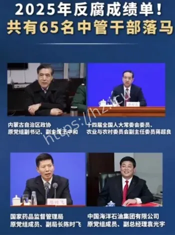 2025中国反腐成绩单